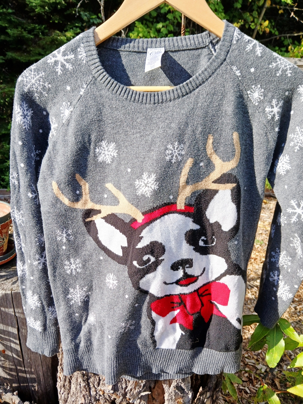 Cold Crush Light Up Ugly Christmas Sweater Reindeer Frenchie Puppy Kids Large 14